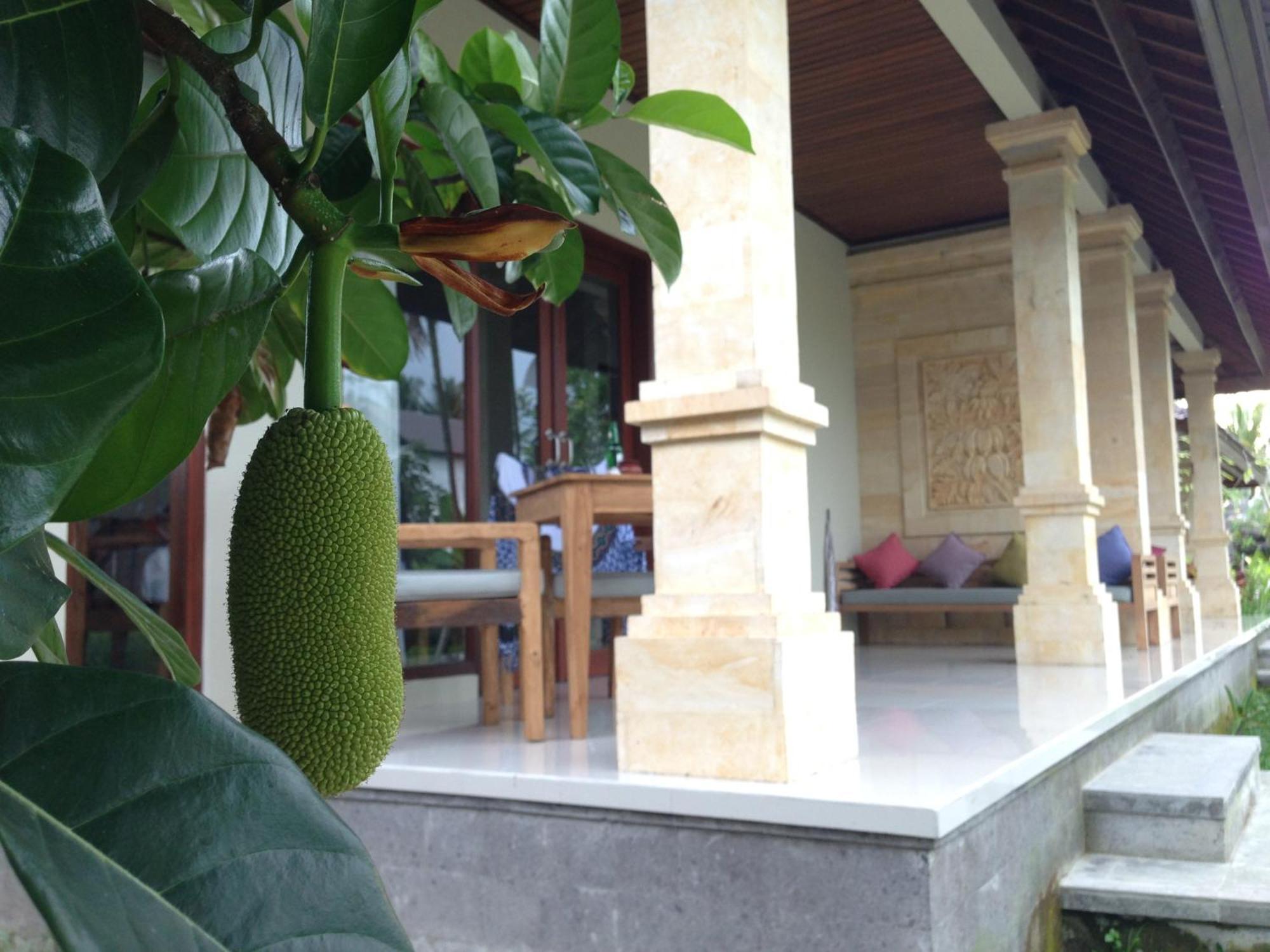 Masia Villa Ubud Eksteriør bilde